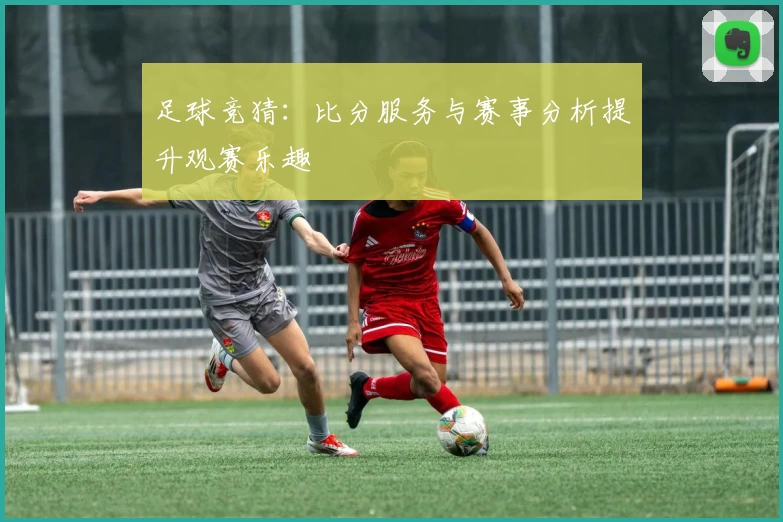 足球竞猜：比分服务与赛事分析提升观赛乐趣