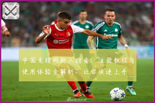 中国竞猜网新人指南：注册教程与使用体验全解析，让你快速上手